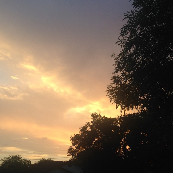 Meet your Posher, Giselle - Picture 1 of 1